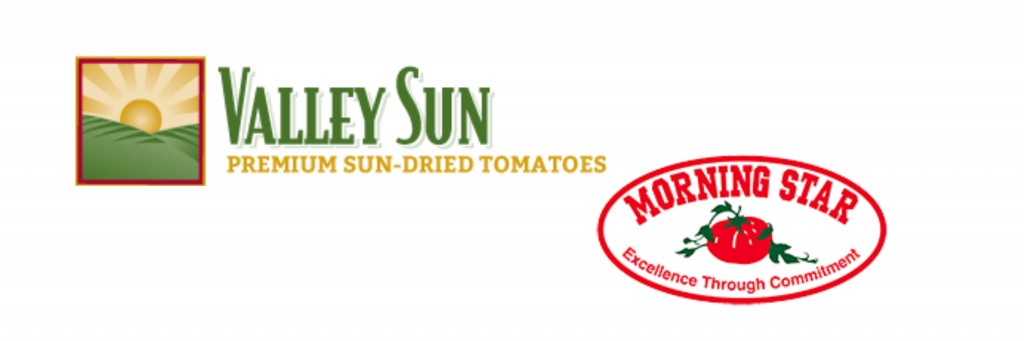Combined Valley Sun Morning Star Logo